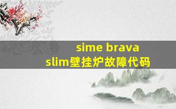 sime brava slim壁挂炉故障代码